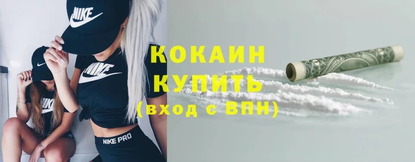 шишки Абинск